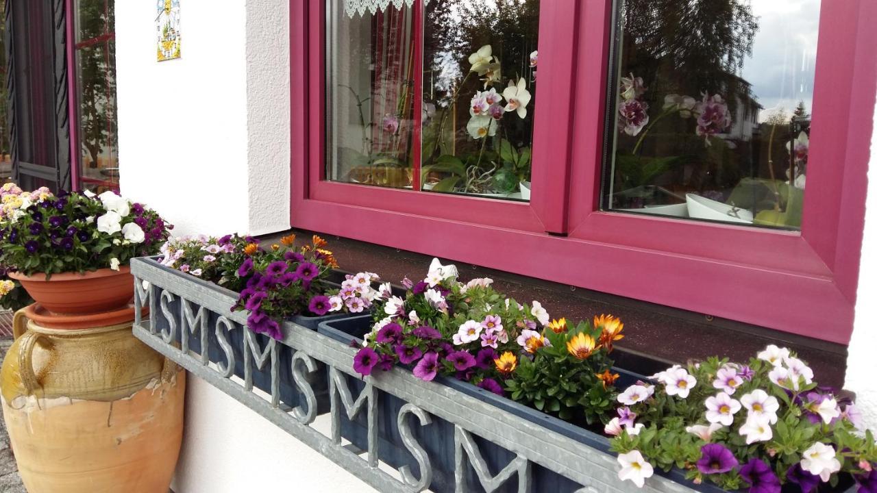 B & B Gaestehaus Schmidt Lichtenberg  外观 照片